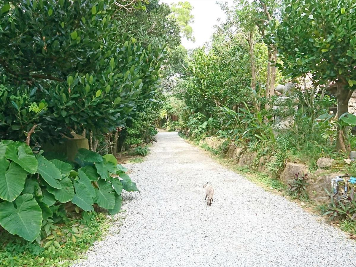 かりゆしコンドミニアムリゾート恩名 真栄田ベース 恩納村 エクステリア 写真